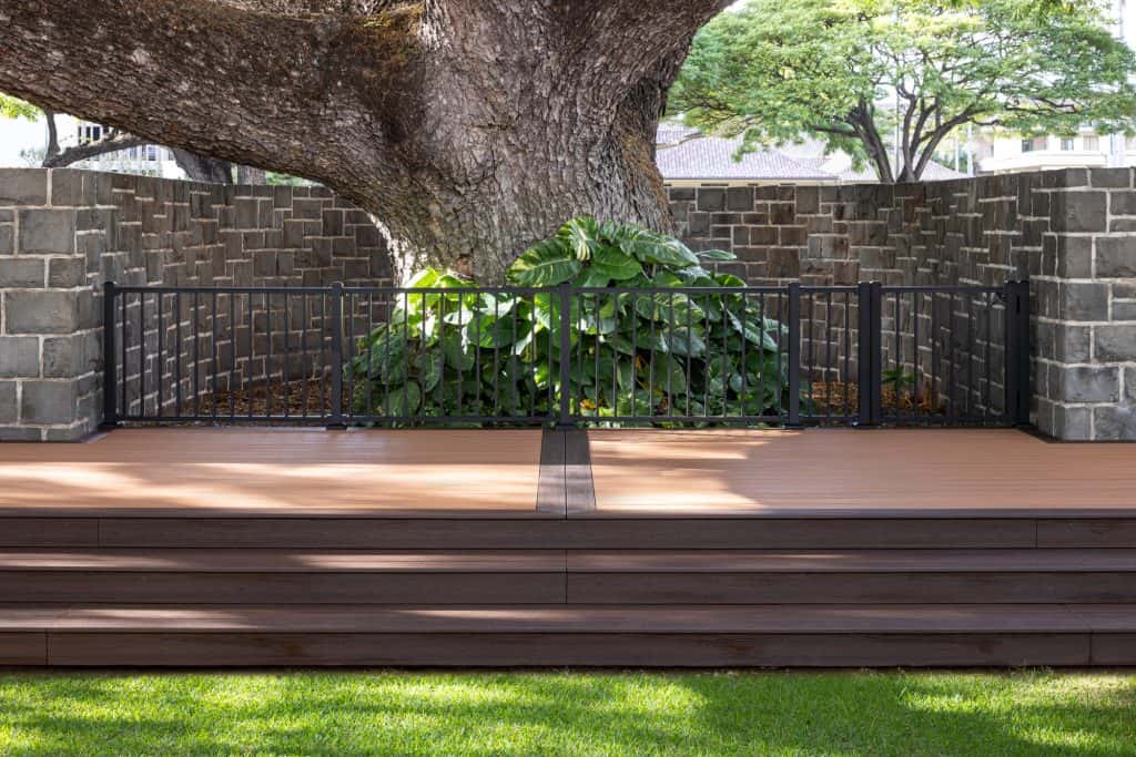 Front view of a deck built around a Hawaii State Exceptional Monkey Pod tree, showcasing the steps leading up to a Trex Transcend wedding platform. The deck features Trex Transcend boards in Tiki Torch and Lava Rock, with a double transition border. The Trex Black Signature railing and gate protect the tree, and the photo also highlights the lush greenery and part of the brick wall surrounding the tree. This design blends nature with quality craftsmanship in a modern Honolulu outdoor space.