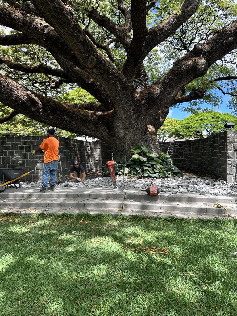 During demolition of old concrete deck surrounding exceptional monkeypod tree at Central Union Church in Honolulu, Oahu before Trex Transcend composite rebuild.