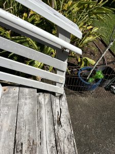 Example of stairs and railing that are deteriorated over time because they are made with wood and wood fails quickly in Hawaii.